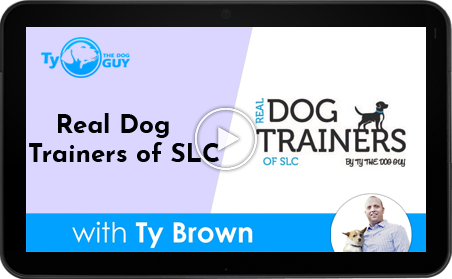 Real Dog Trainers Of SLC UTah
